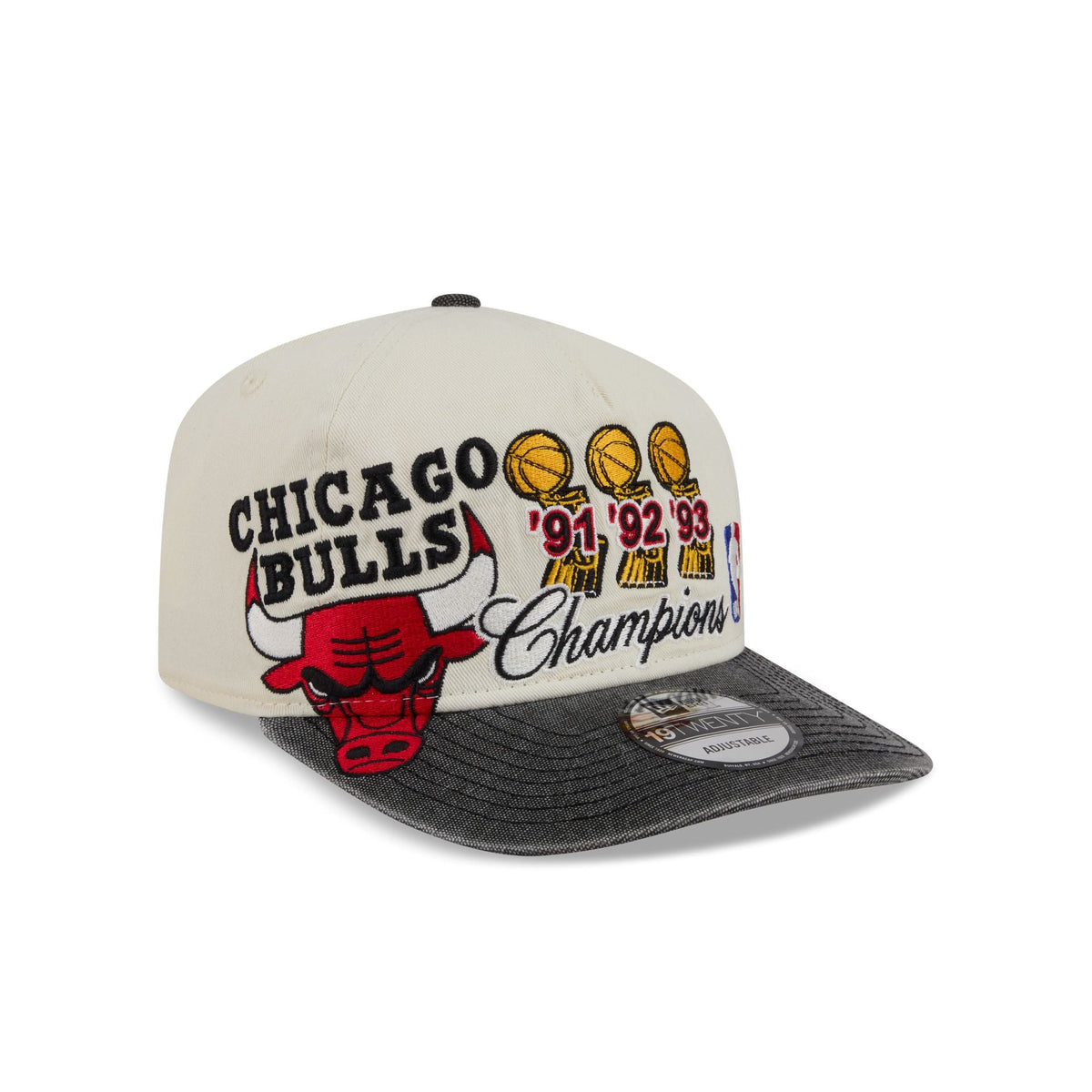 Chicago Bulls Hardwood Classics Past Glory 19TWENTY Adjustable Hat