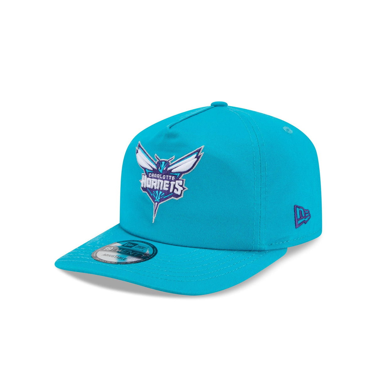 Charlotte Hornets Team 19TWENTY Snapback Hat